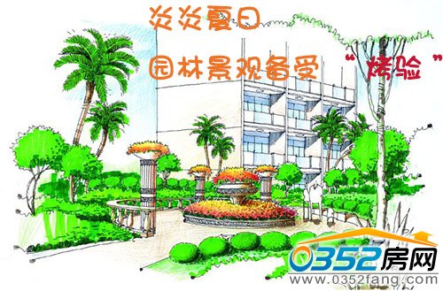 夏日炎炎 園林景觀備受“烤驗”