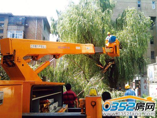 南關住宅小區柳樹刮倒引發斷電 供電部門全力排除險情