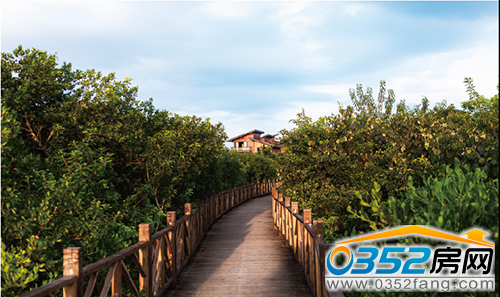 首個紅樹林邊親水木屋 僅有33套獨棟木制別墅