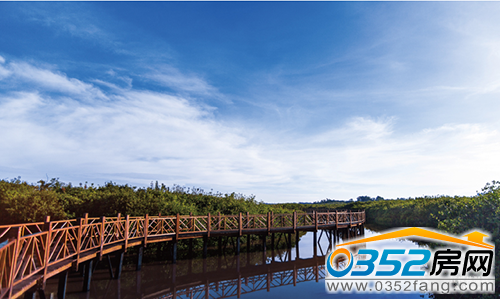 頂級度假天堂 全球精英將在此匯聚