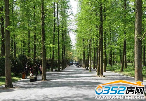 恒大綠洲歐陸皇家園林全新升級 締造平城豪宅典范