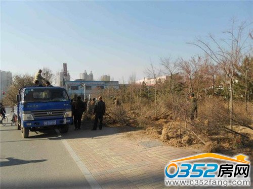 同煤新苑開發(fā)商雇傭工人毀林