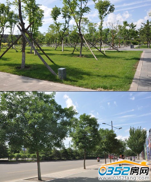 國貿廣場周圍呈現生態氧吧