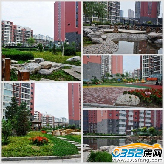 美好新里程綠化實(shí)景圖