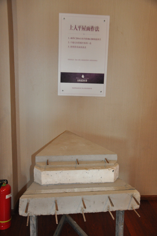 鉑藍原著上人平屋面示意圖