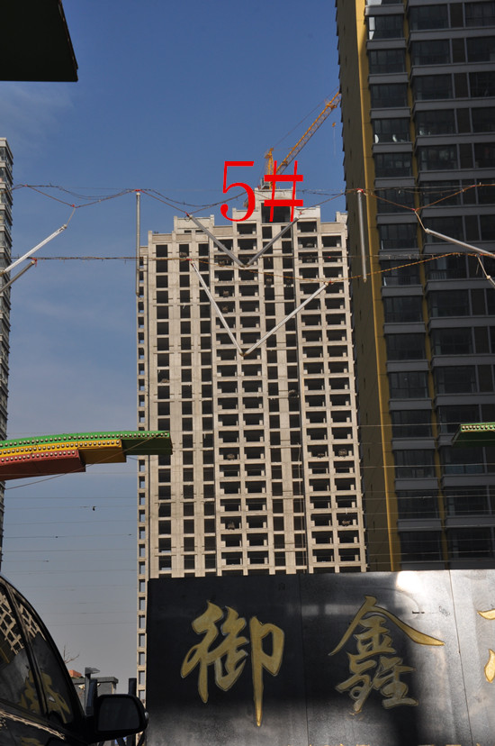 從御新亮城看金水灣5#