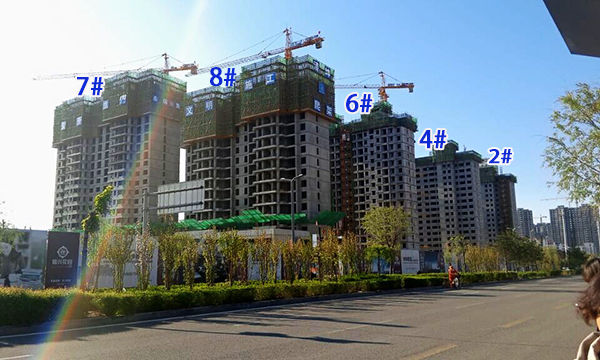 d@24678̖ǌD2015.5.12