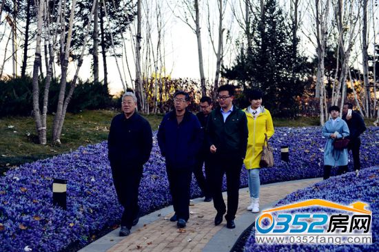 30153151bde93fc1b42340.jpg 4.jpg