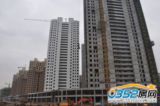 18153600f45d53e6bf9384.jpg DSC_0017.jpg