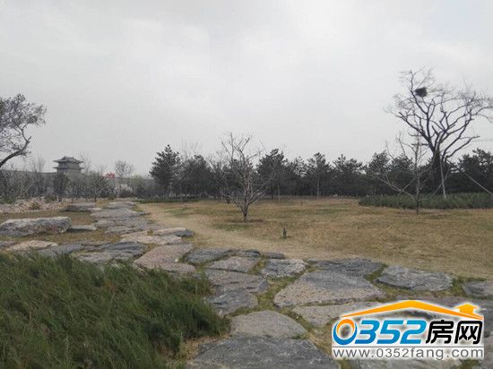 111504576e932e23f70534.jpg QQ圖片20160411142027.jpg