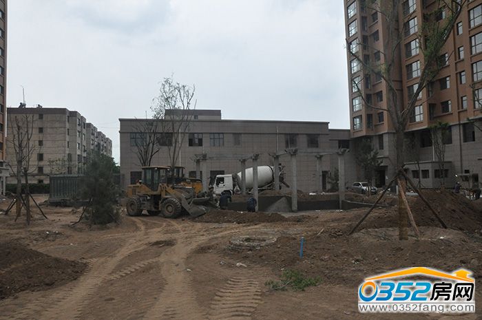 06162356244d43e4362769.jpg DSC_0027.JPG