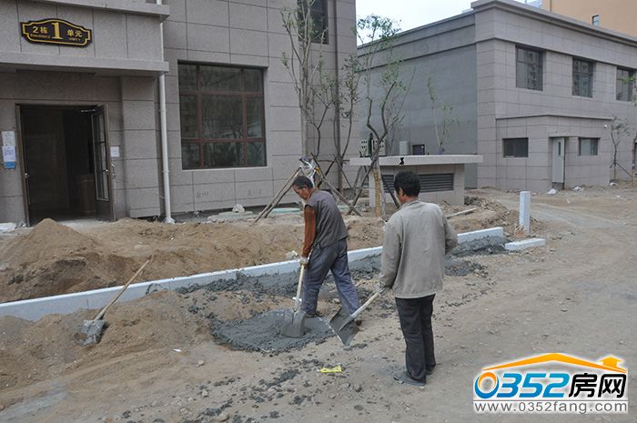 061629383e9e3631920441.jpg DSC_0022.JPG