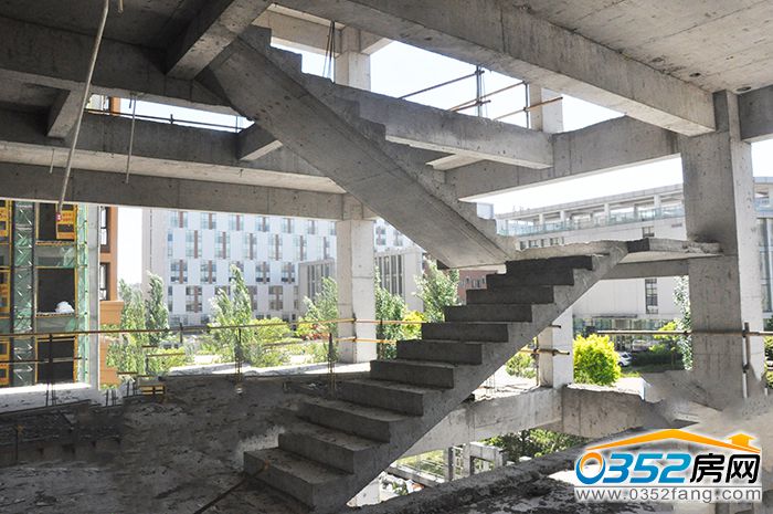 111155018405b69b898928.jpg DSC_0072.JPG