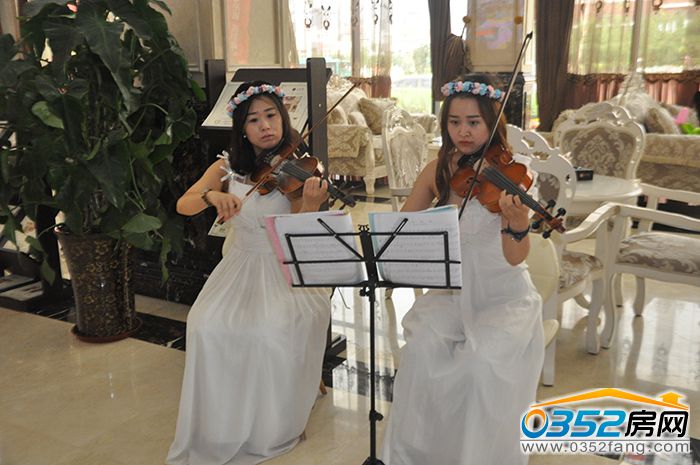 1717352247b3dec2e97350.jpg 小提琴.JPG