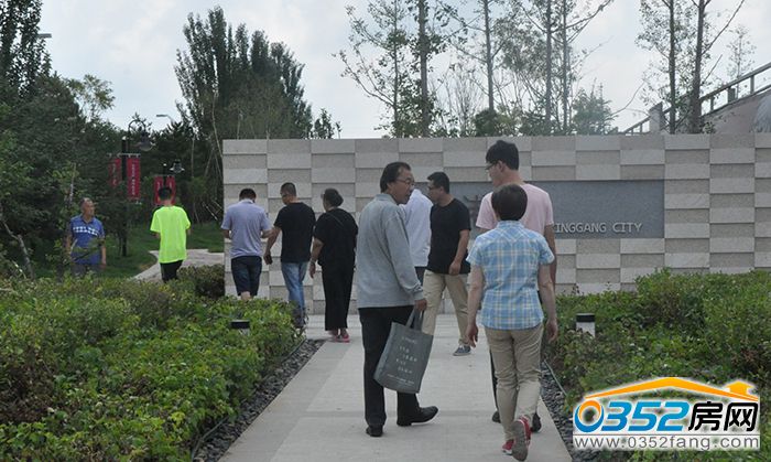 17173613268829528a0416.jpg DSC_0113.JPG