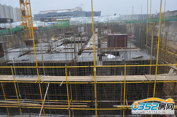 2217135101ff88809d8351.jpg 2.JPG