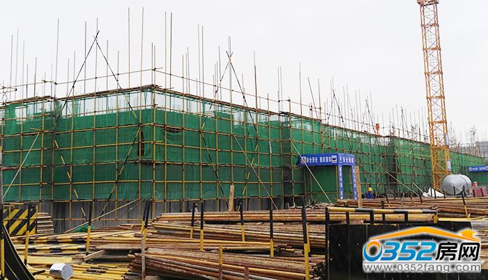 1816594774df282c399089.jpg 1.jpg