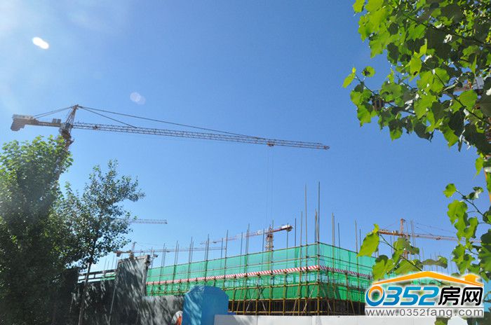 05141725f2f2b344ca1786.jpg 11.jpg