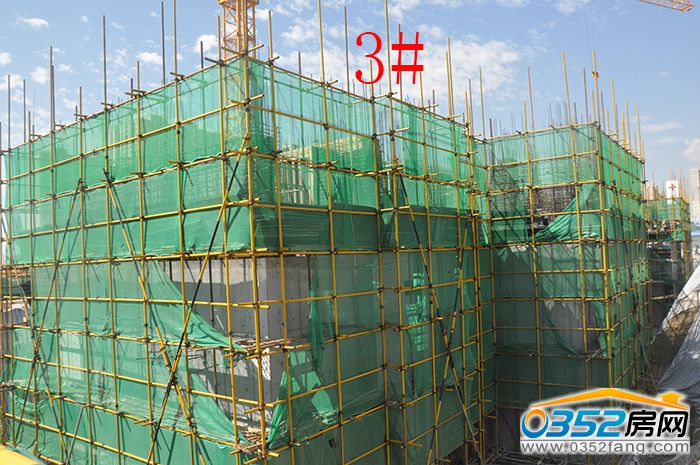 081658288f1331dbbe1911.jpg 3.JPG