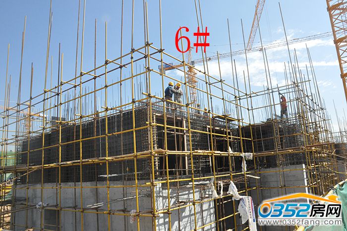 081659229e7f9c3c528720.jpg 6.JPG