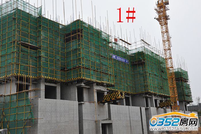 17162435ea1dffdbdd6242.jpg 1.JPG