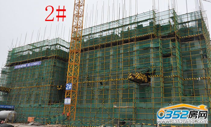 1716245677f1d9b4676995.jpg 2.JPG