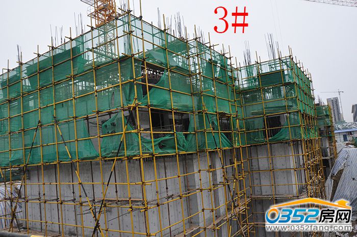 171625257d829c07578589.jpg 3.JPG