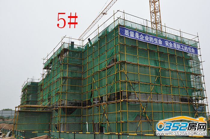 17162548c81ae7c8bf1395.jpg 5.JPG