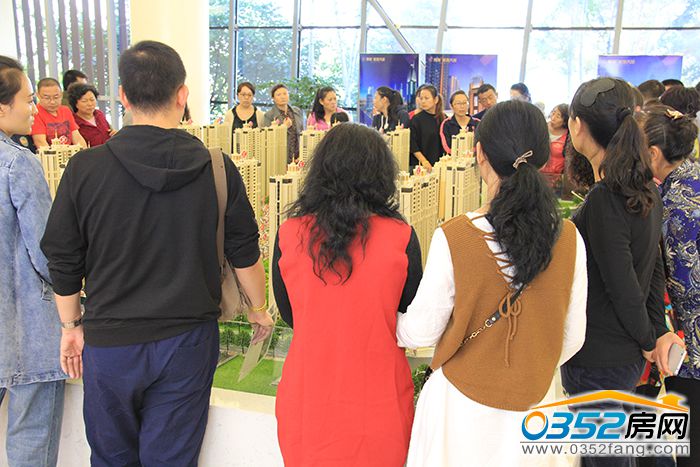 24172027406180ce474008.jpg IMG_0381.JPG