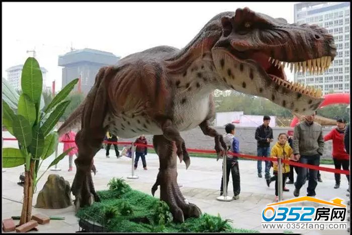 28152557aa45bfebe88680.jpg 640.webp (3).jpg