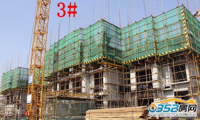 011730102285354f115154.jpg 3.JPG