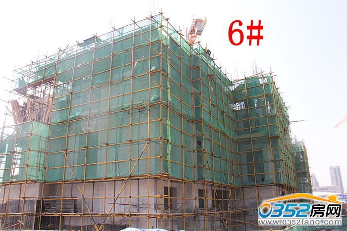 01173022e313a816a57563.jpg 6.JPG