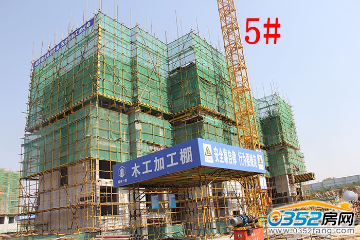 01173037ce5b5a65166122.jpg 5.JPG