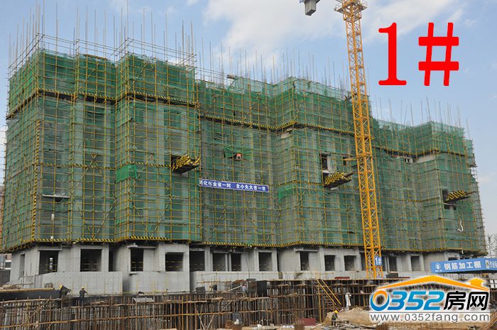 10163341ae766fdf408535.jpg 1.JPG