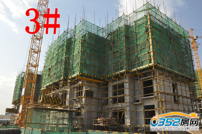 1016343531272059c01593.jpg 3.JPG