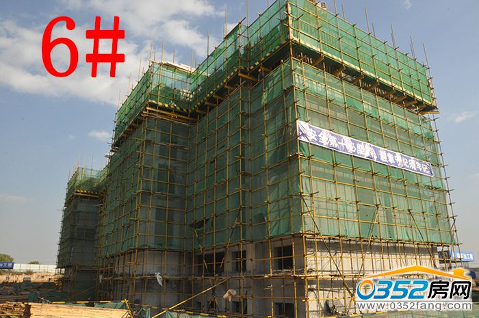 101634591e8d25f0873229.jpg 6.JPG