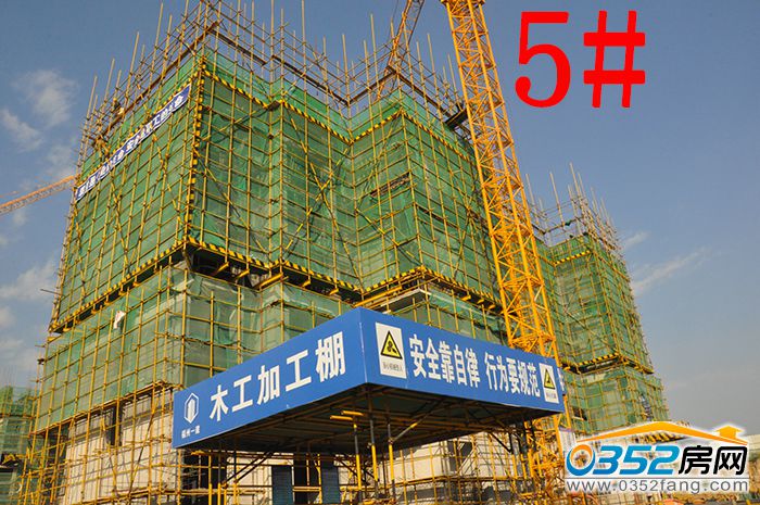 101636276ce2b6635e8905.jpg 5.JPG