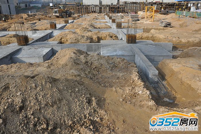 10165416c1e267aae19440.jpg DSC_0020.JPG