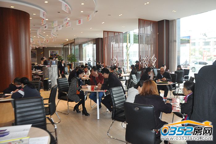 13175556ce730ca3917675.jpg DSC_0034.JPG