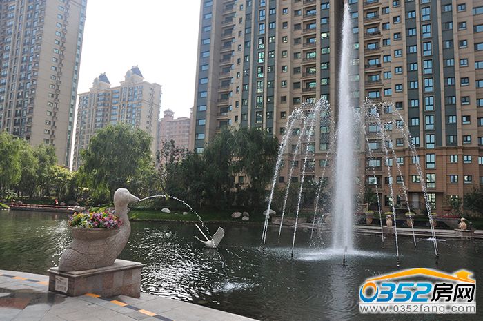 14174310d56431ddfa2409.jpg DSC_0044.JPG