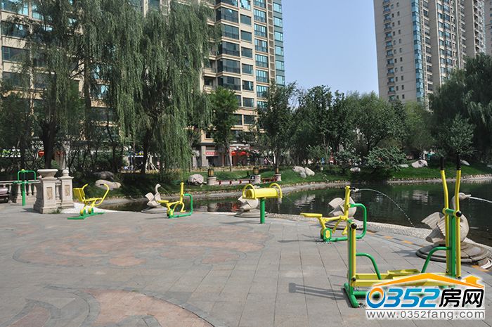 141746098bf8431f6b2377.jpg DSC_0136.JPG