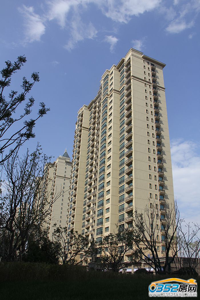 14174825348f954a917455.jpg IMG_0827.JPG