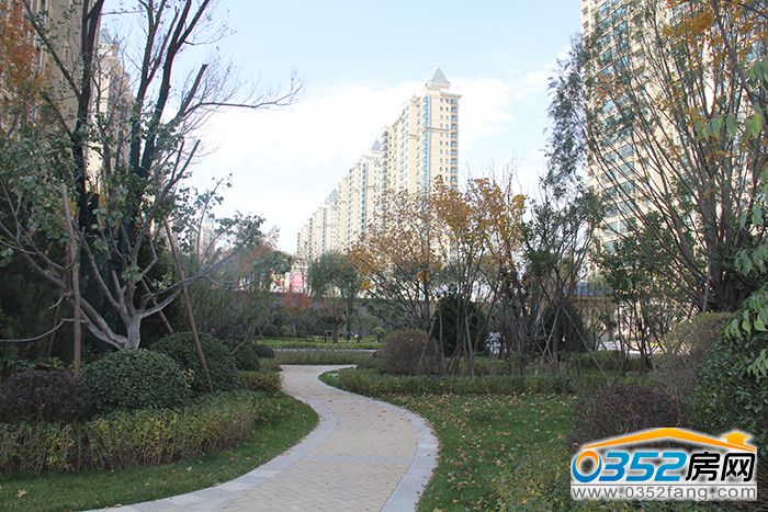 141749340e09c340887537.jpg IMG_0858.JPG