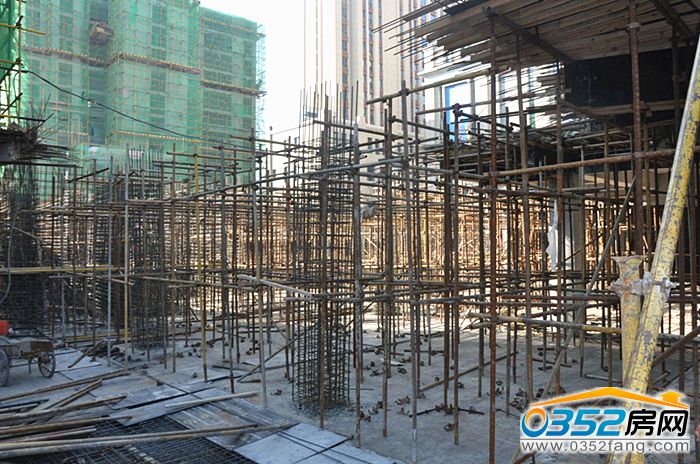 12155429618c9d46d02350.jpg DSC_0016.JPG