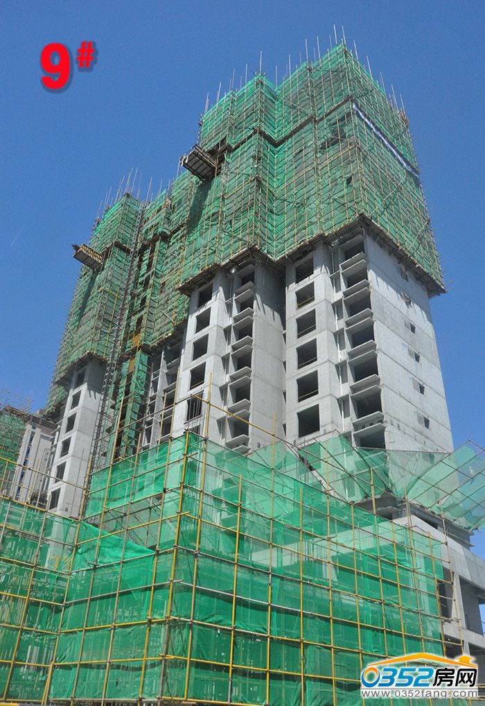 101554509ebfddb5418355.jpg 9.jpg