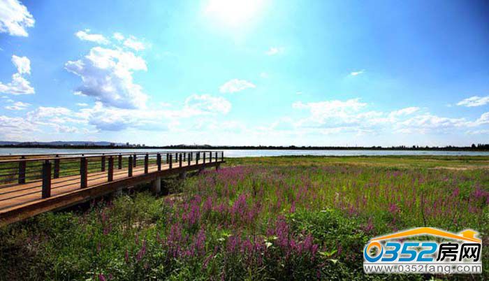 18111055421f61faf45495.jpg 201461014432303.jpg