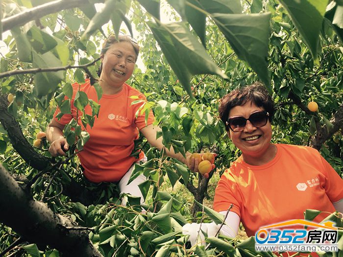 151732564686b3e37e1204.jpg 圖片6.jpg