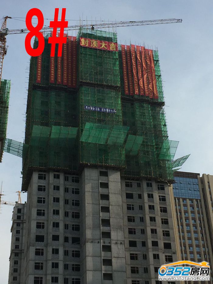 15183754d772678fd68579.jpg 8.jpg