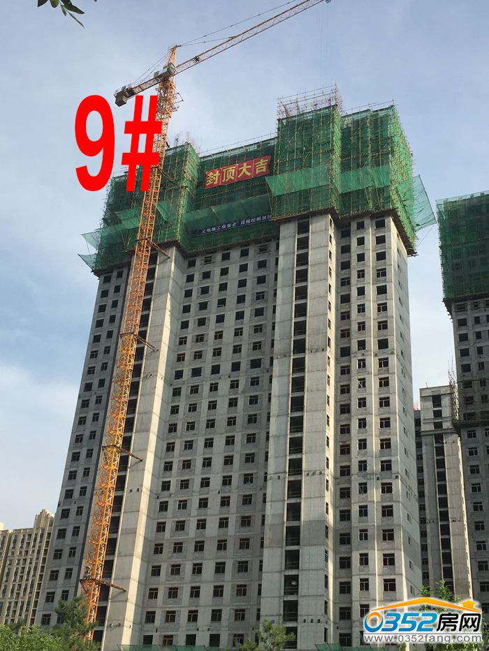 15183826827ae9b05c3381.jpg 9.jpg