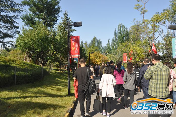 01181818636a6d17710949.jpg 1.1.JPG